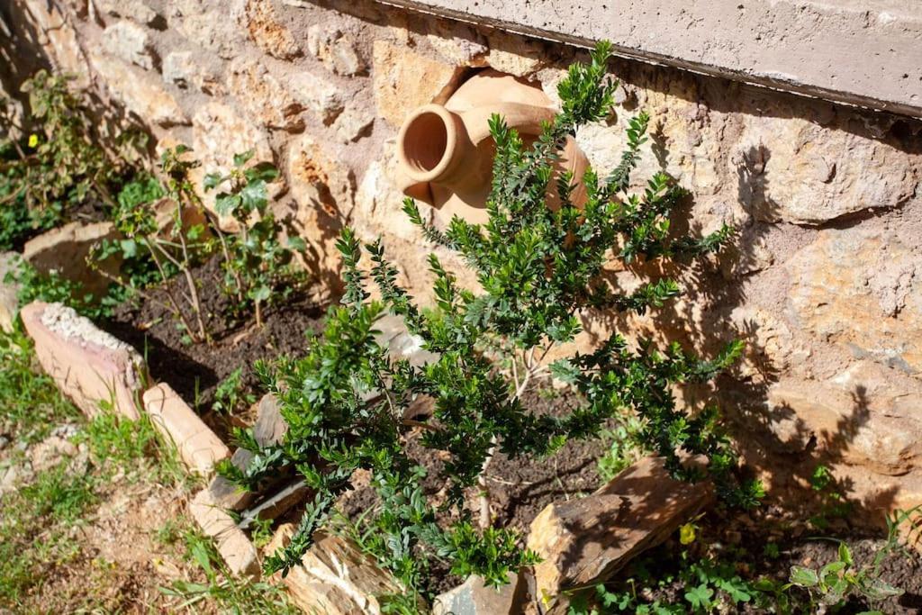 Chania Paradise Retreat Rodhopos Exterior foto
